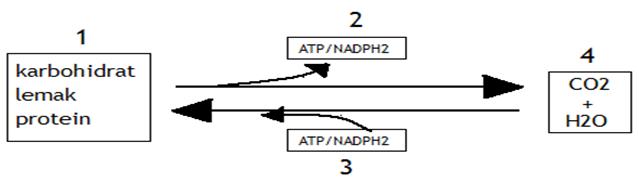 [soal+2.jpg]