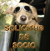 ¿Colaboras?