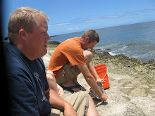 Crab hunting