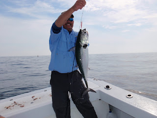 Rock Solid Fishing: October 2010