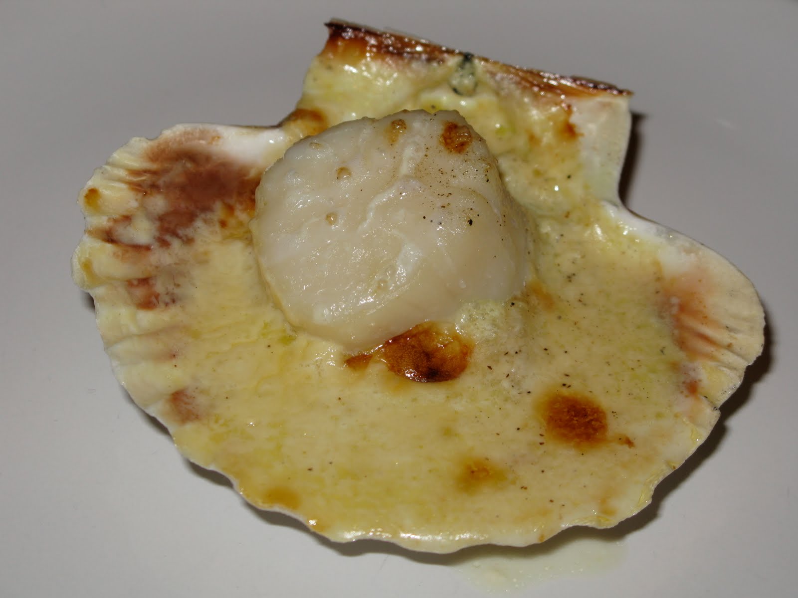 Coquilles StJacques sur lit de poireaux