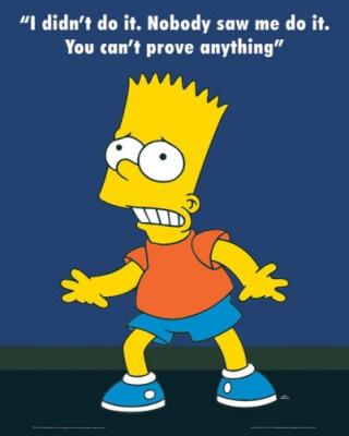 [The-Simpsons---I-didn-t-do-it-Mini-Posters-71134.jpg]