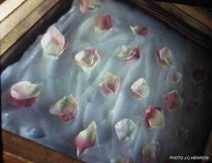 Le Parfum: Fabrication d'un parfum:Techniques d'extractions