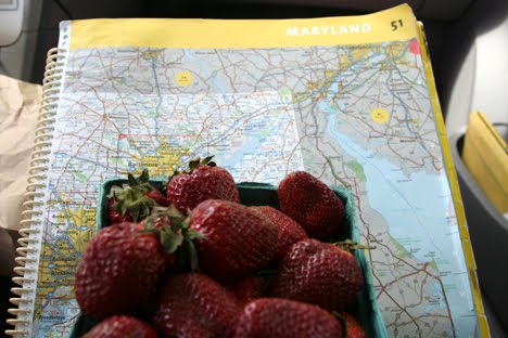 [IMG_8889.JPG]