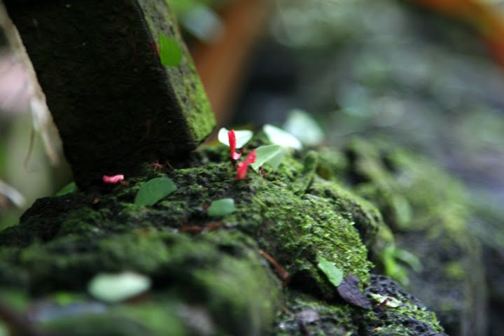 [IMG_1956.JPG]