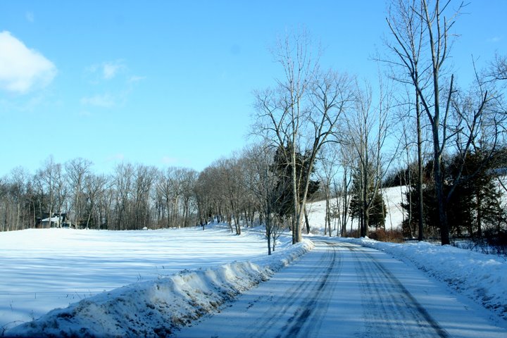 [IMG_7507.JPG]