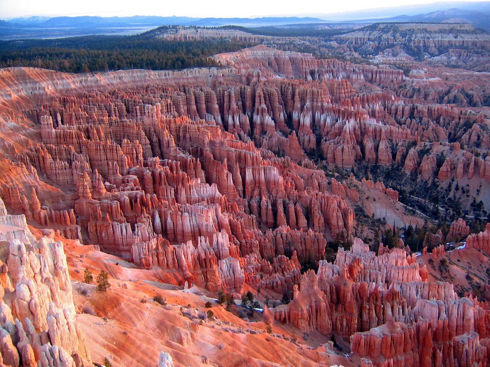 [bryce+overview.jpg]