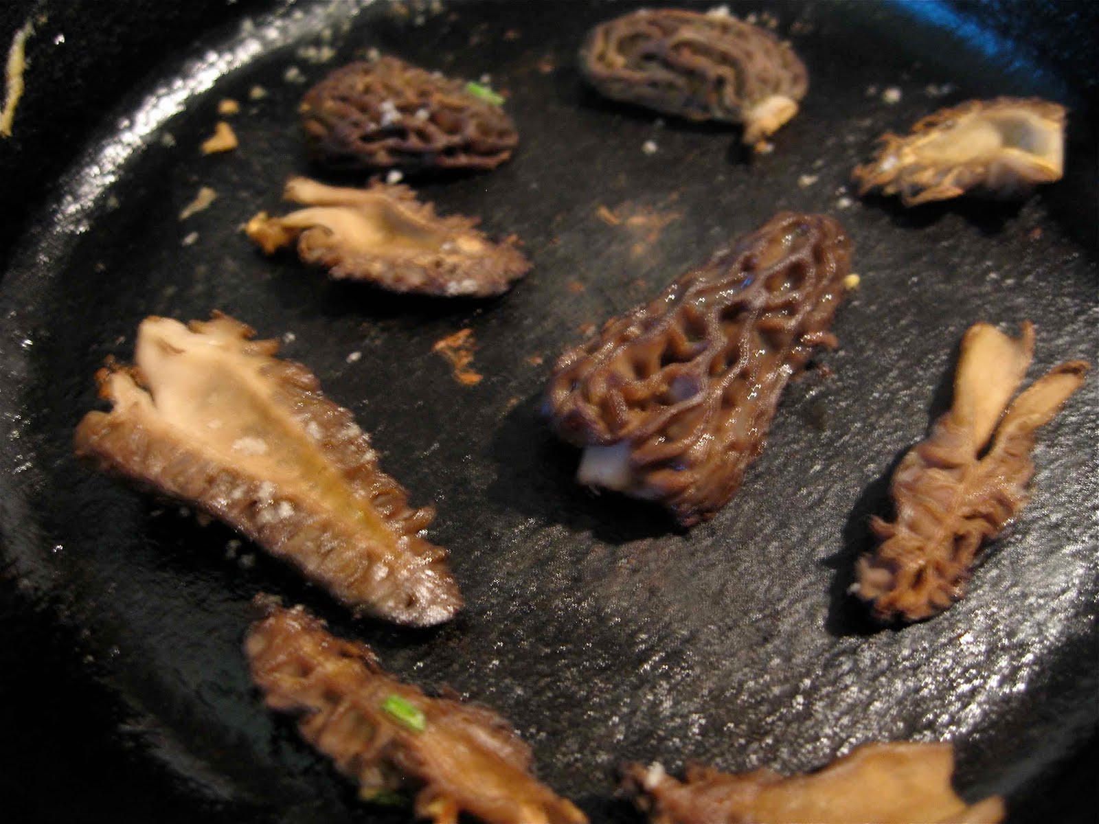 weird vegetables The Morel of the Story