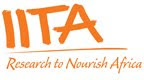 APPLY FOR IITA JOBS in aAfrica