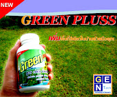 Green Plus