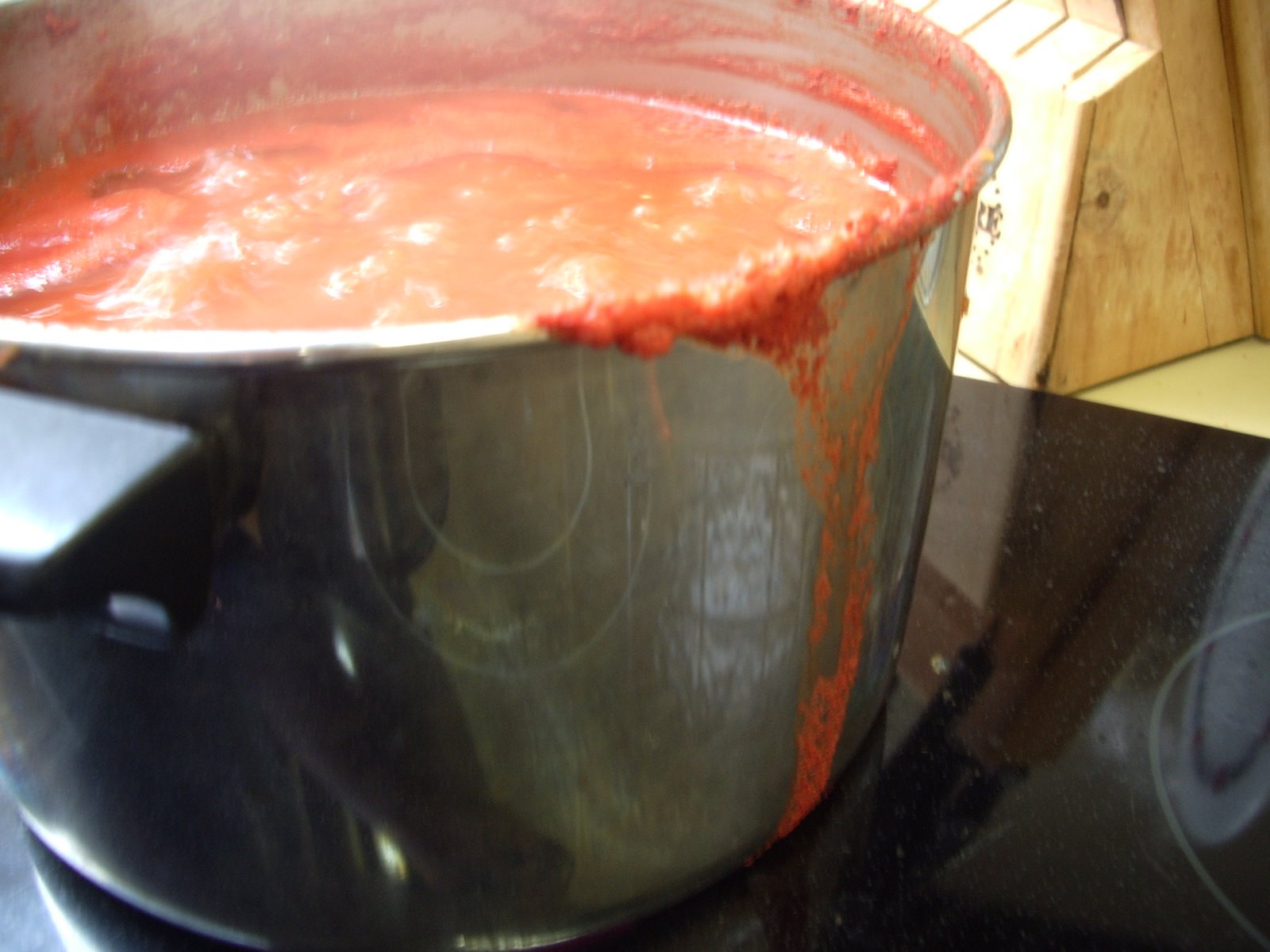 [Turkeys-tomatoes-salsa+134.JPG]
