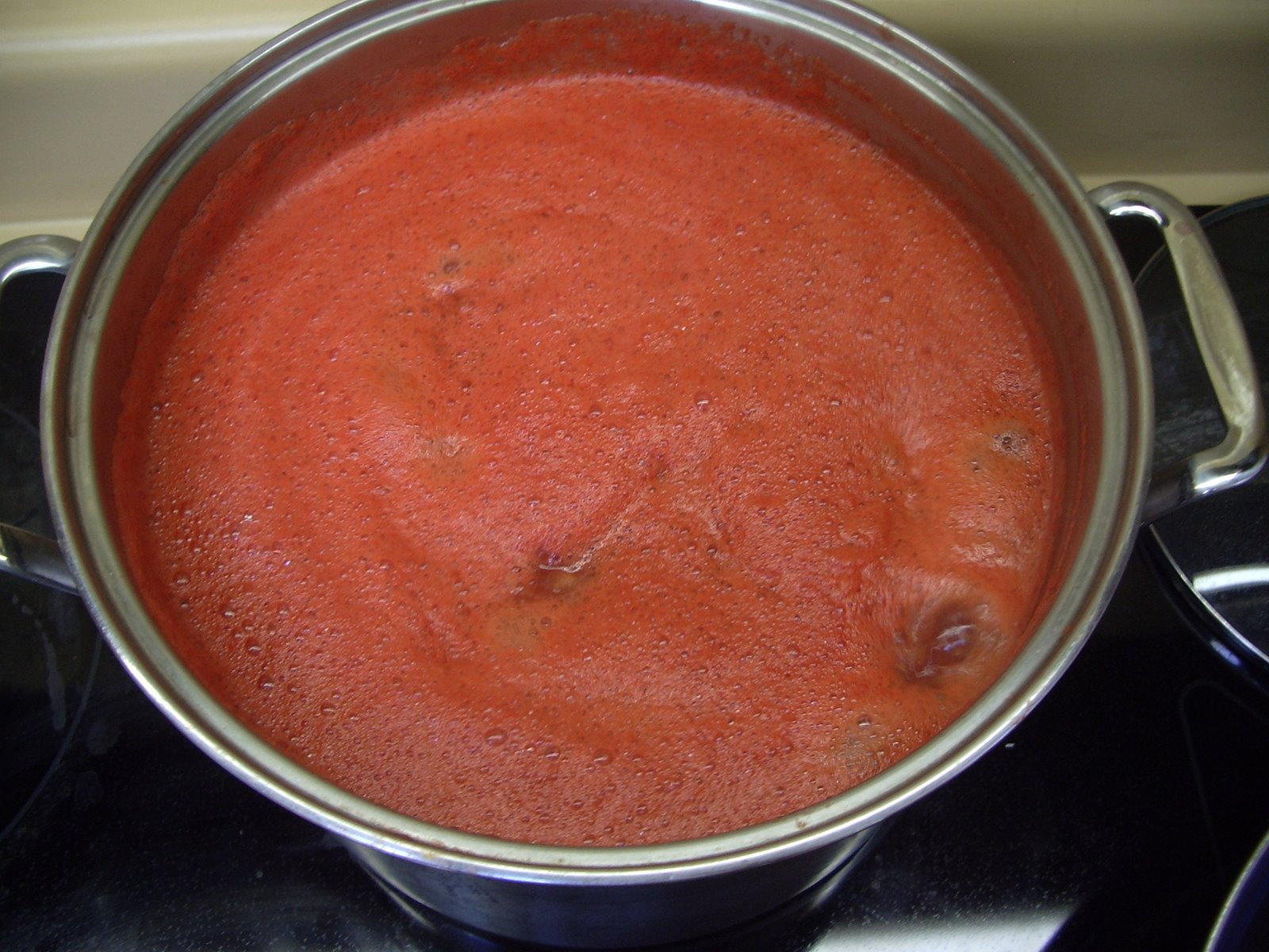 [Turkeys-tomatoes-salsa+111.JPG]