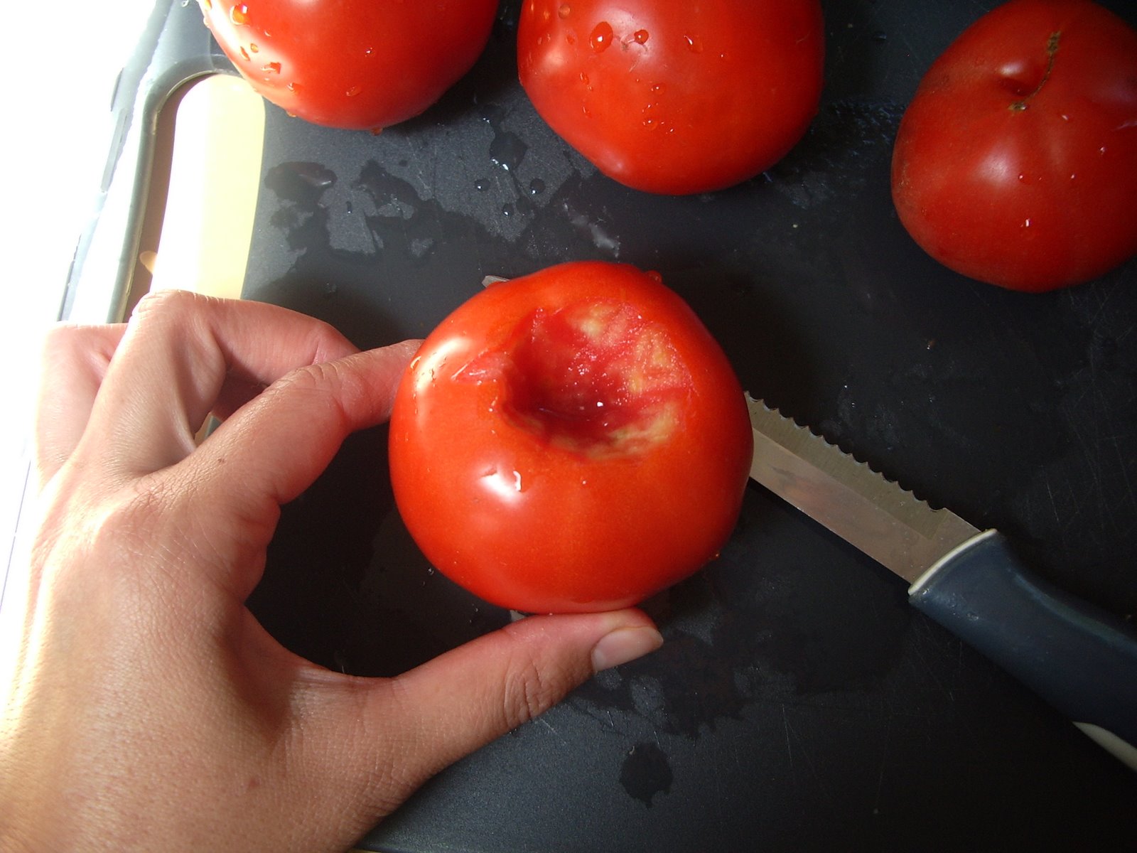 [slow+roasted+tomatoes+076.JPG]
