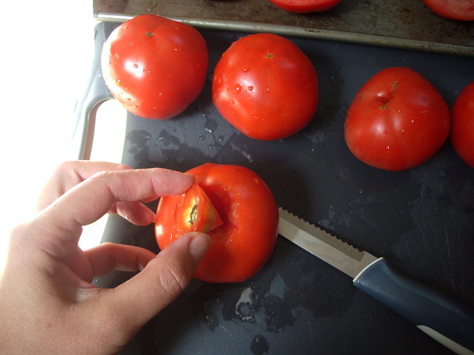 [slow+roasted+tomatoes+073.JPG]