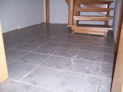 Abenteuer Hausbau: Juni 2009