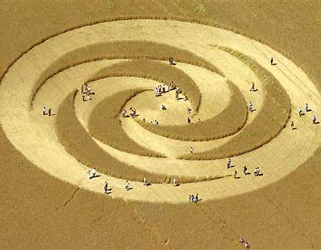 Fenomena Crop Circle Lingkar Tanaman Pola Unik