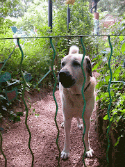 de bewaker van de Tuin