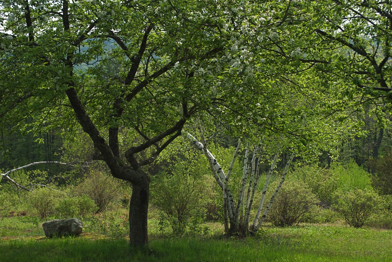 DSC_7733.jpg