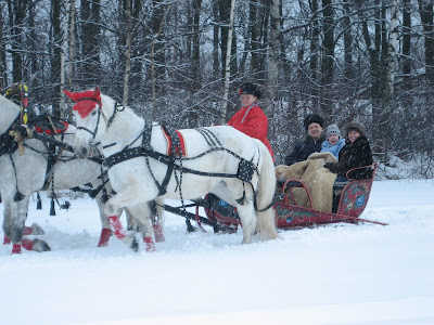 Piepers in Sandy: Russian Troika Ride
