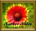 Nature Notes