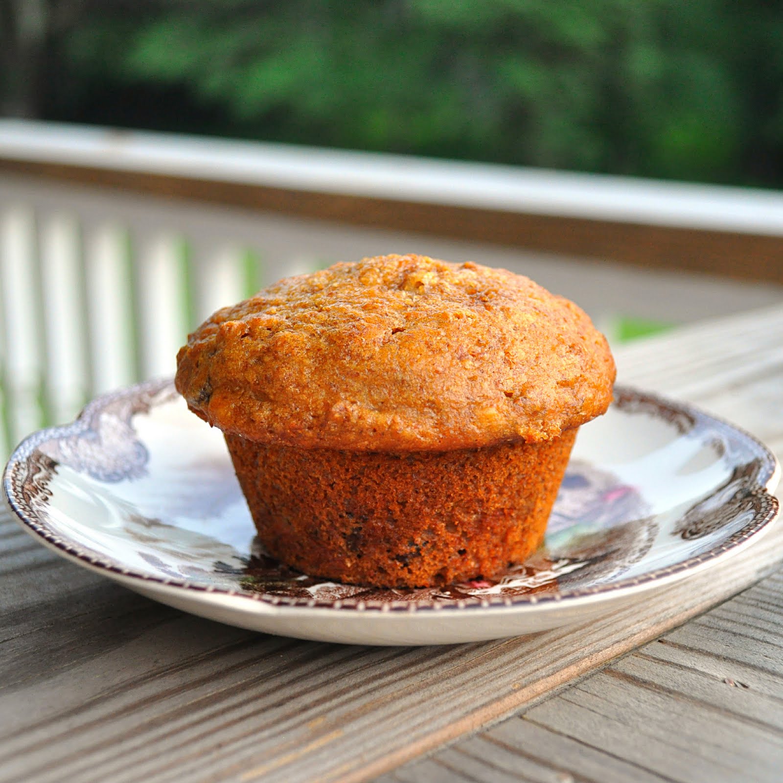 Svelte Training Recipes - arhclbt