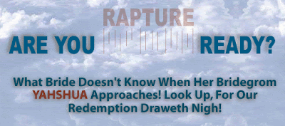 rapture, imminence, bible, prophecy, end times, revelation rapture ready