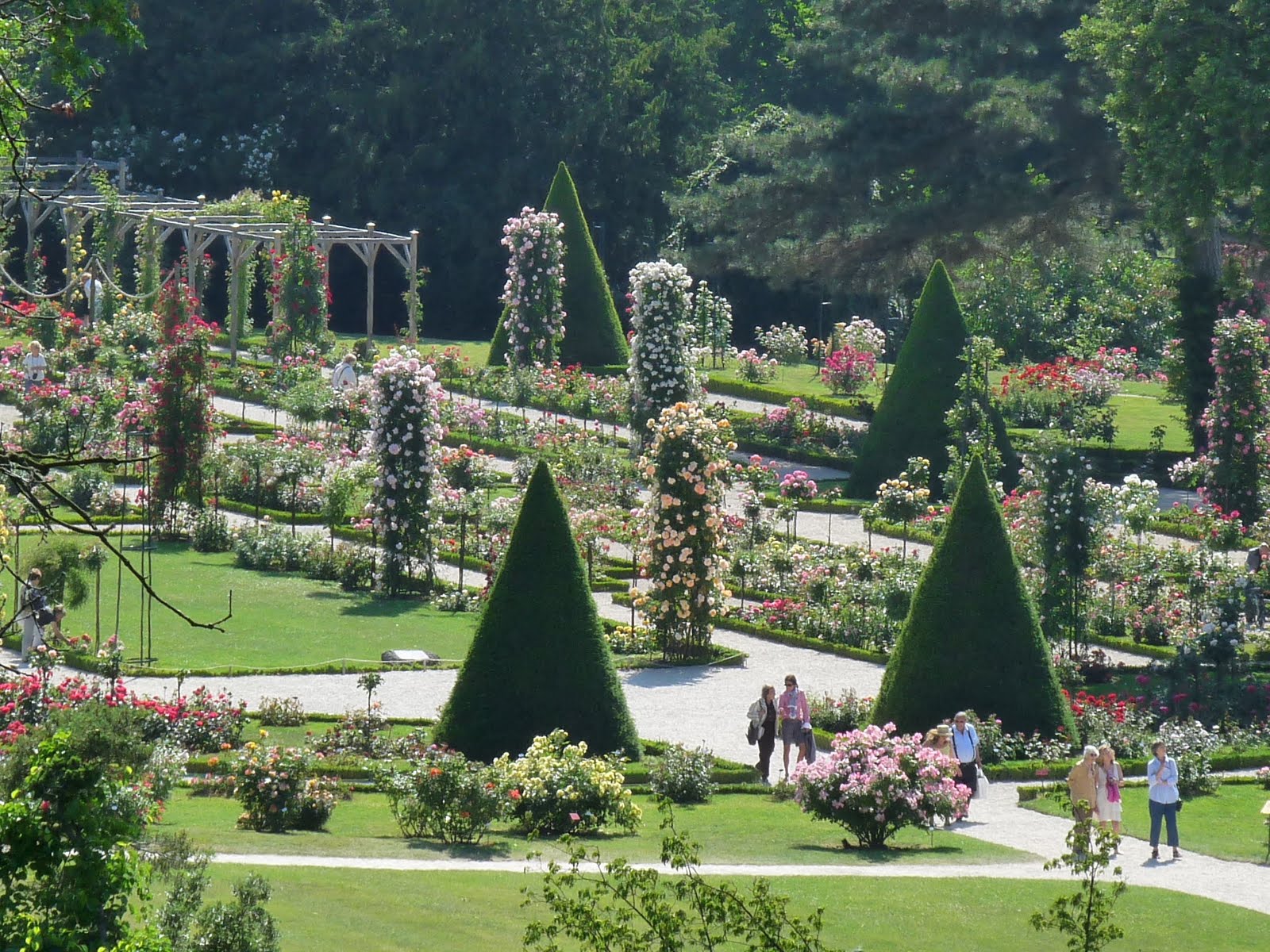 Afficher l’image source