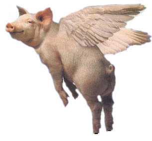 http://1.bp.blogspot.com/_WMpSC7nK3os/SxLsLPXgchI/AAAAAAAAEOc/Uq_inkmrCbs/s400/flying_pig.jpg