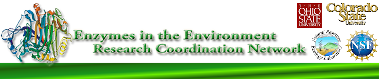Enzymes in the Environment RCN
