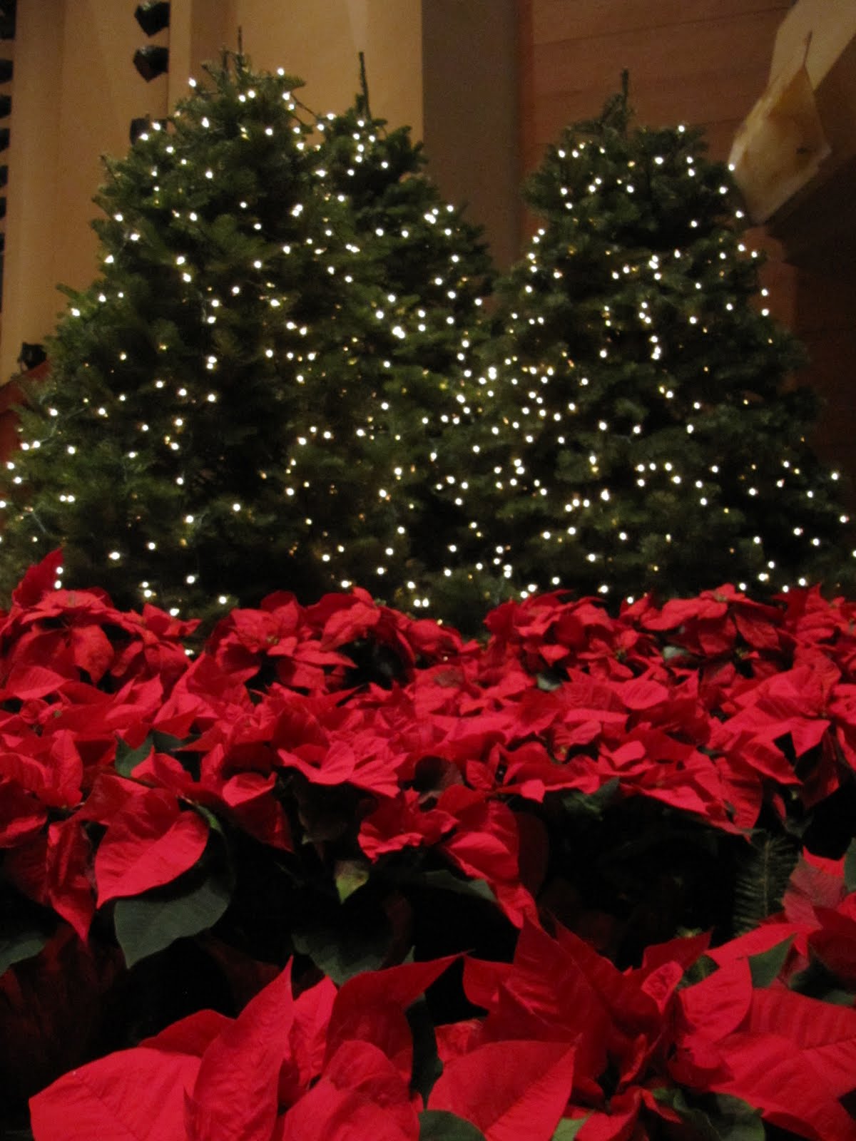 GG FLORAL Seattle Pacific "Sounds of Christmas" concert at Benaroya Hall