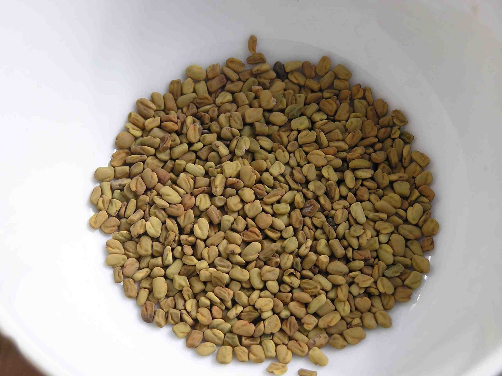 herbal teas and tonics Fenugreek tea