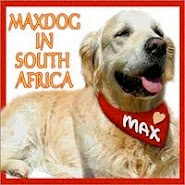 we love maxdog!