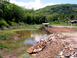 My Life in Chacala: Rainy Night in Chacala