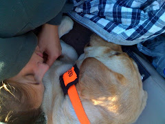 Fishing Hard on Borken Bow