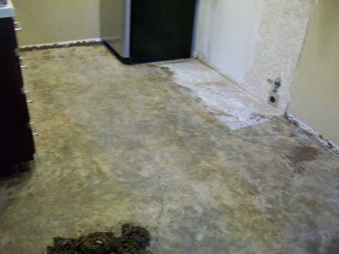 [condo+floors-kitchen+after.jpg]