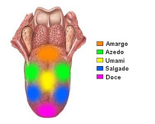 Dental Plus Convênio Odontológico: Língua pode sentir até cinco sabores