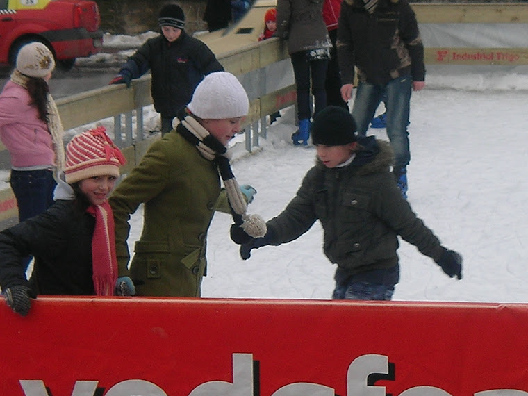 la patinoar cu nicoleta