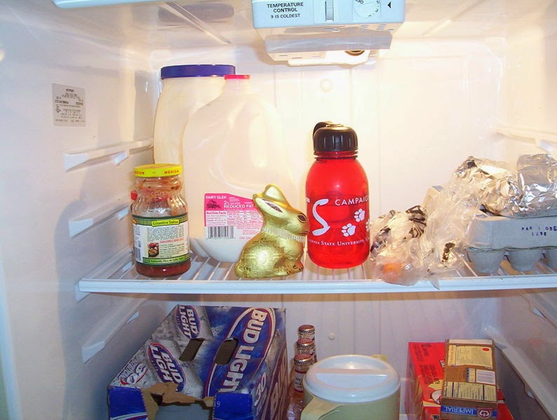 [fridge11.JPG]