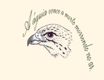 [Nova+Ã Â guia,+Frankie,+2008.PNG]