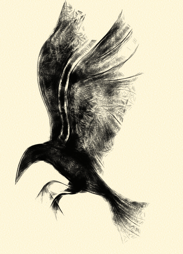 Best Crow Sketch Drawing with Pencil