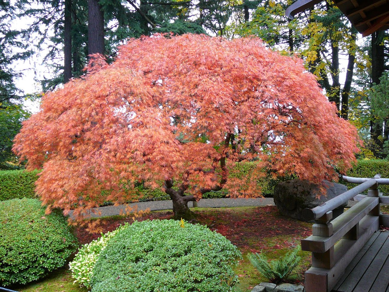 MILLSTONES: JAPANESE GARDENS, PORTLAND, OR