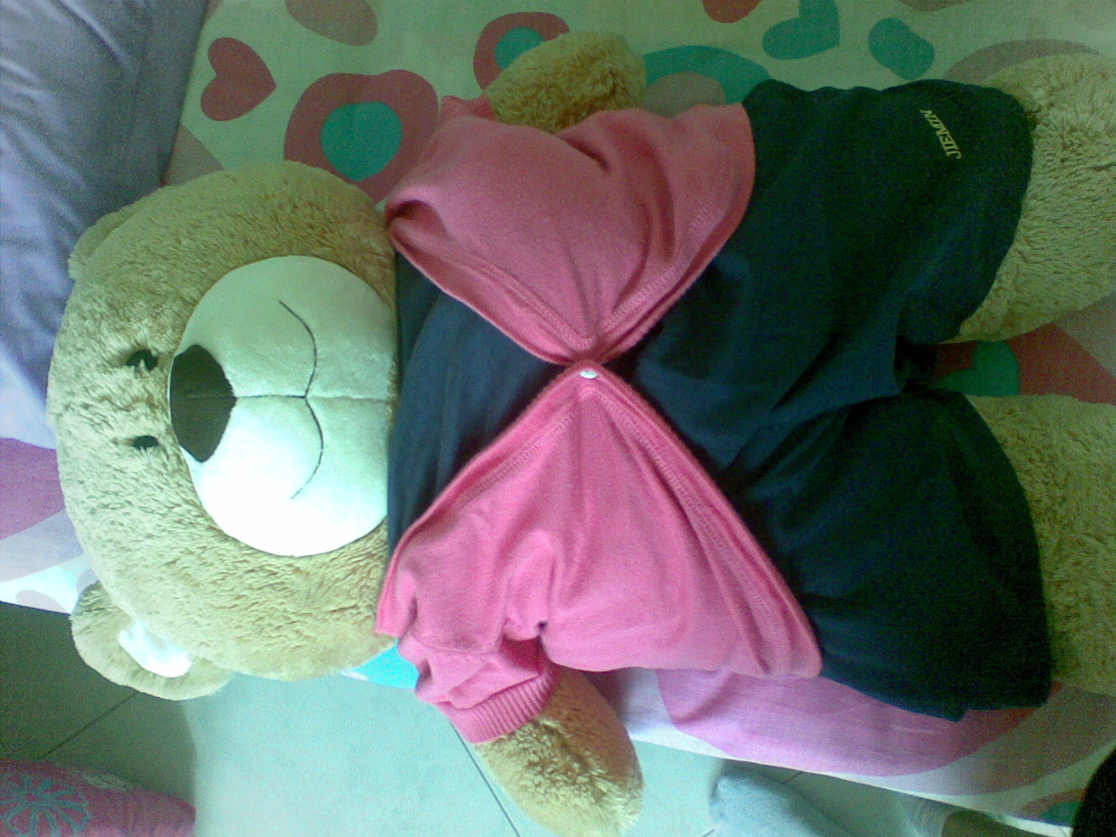 [29122008_001.jpg]
