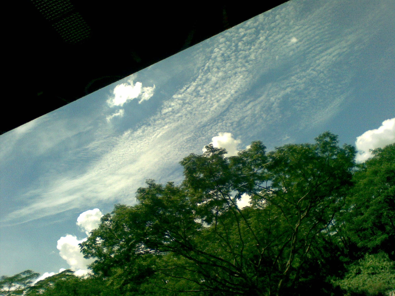 [17042009.jpg]