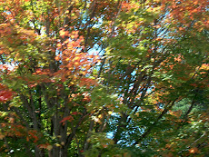 Color from car window