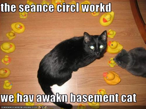 [funny-pictures-your-cat-is-having-a-seance.jpg]