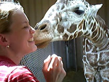 Giraffe Kisses!!