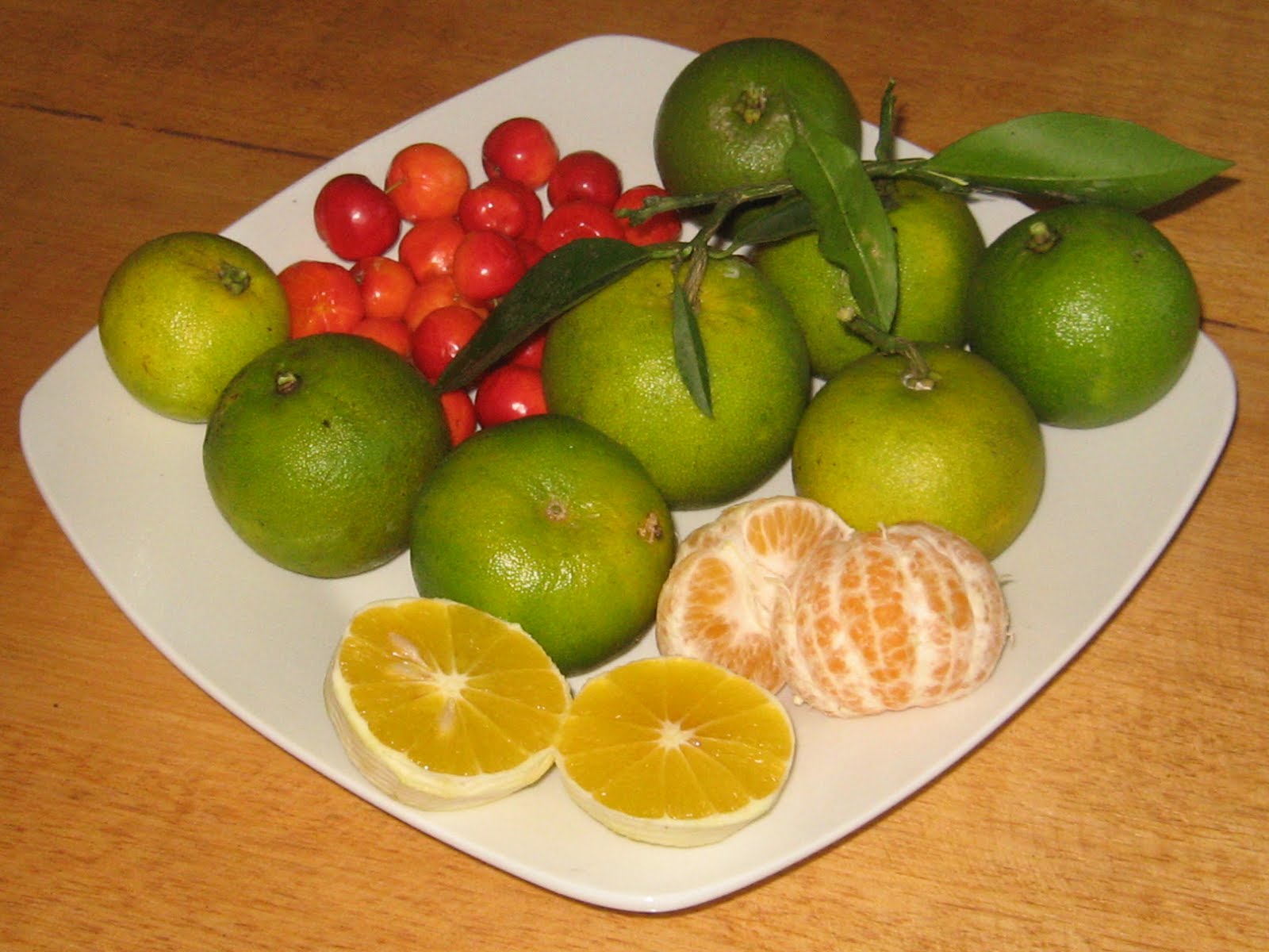 immortal romance scam-free