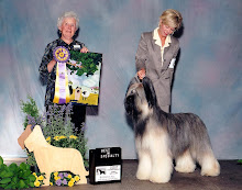 Specialty Best In Show shown by friend Pat Murray