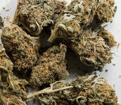 hells blue angel shatter marijuana hells blue angel shatter marijuana