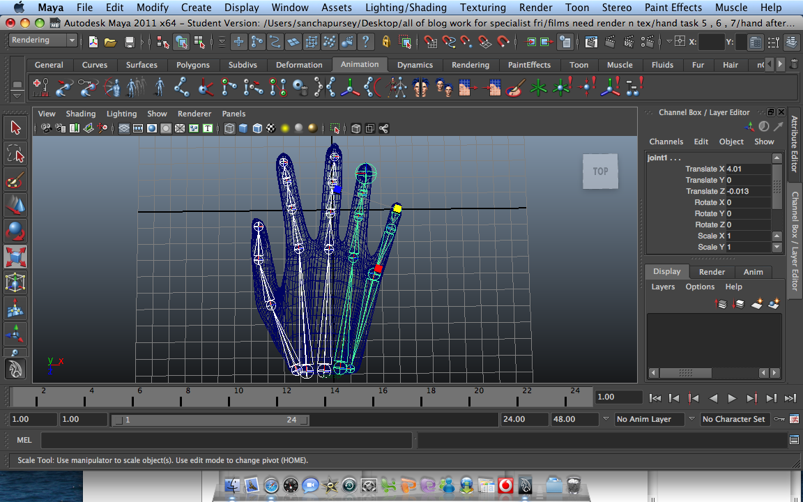 Animation Invasion